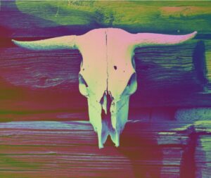 Neon Longhorn Skull, longhorn skull, cow skull, western, desert, bones, rustic, gothic, spooky, surreal, colorful, neon, southwest, taxidermy, skull