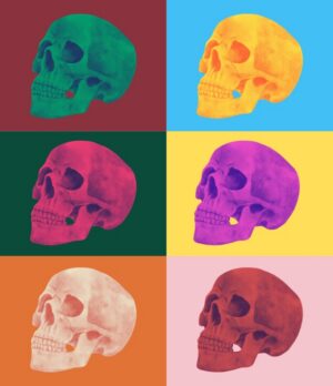 Pop Art Skull, skull, pop art, colorful, contemporary, modern, graphic design, anatomy, minimalist, bold colors, wall art, vibrant, surreal