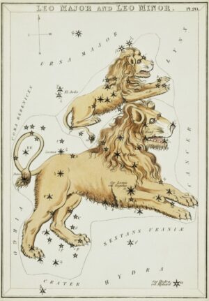 Leo Major and Leo Minor, constellation, leo, astronomy, celestial, zodiac, vintage map, star chart, lion, astrology, antique illustration, scientific, victorian