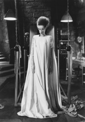 Bride Of Frankenstein Laboratory Still, bride of frankenstein, elsa lanchester, horror, universal monsters, gothic, spooky, halloween, black and white, classic cinema, laboratory, monster, vintage photography, dramatic, film still, portrait