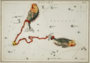 Pisces Constellation Map, pisces, constellation, zodiac, celestial, astronomy, star chart, vintage map, fish, night sky, astrology, scientific illustration, pegasus, urania