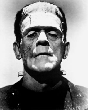 Classic Frankenstein Monster Portrait, frankenstein, frankenstein monster, boris karloff, horror, universal monsters, halloween, gothic, spooky, black and white, monster, classic cinema, vintage photography, portrait, horror icon, film