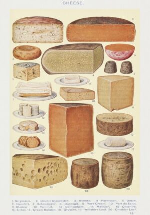 Vintage Cheese Chart, cheese, food, culinary, vintage illustration, cheddar, parmesan, camembert, gouda, still life, kitchen, french cuisine, educational, retro