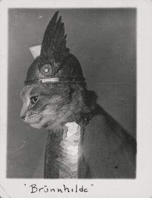 Brünnhilde the Cat, cat, vintage photography, brunnhilde, costume, helmet, whimsical, feline, black and white, humor, portrait, animal