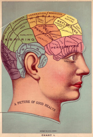 Phrenology Head Chart, phrenology, brain map, anatomy, medical illustration, pseudoscience, vintage chart, scientific illustration, psychology, human head, diagram, occult