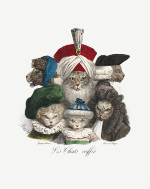 Cats in Historical Hats, victorian cats, anthropomorphic cats, french illustration, cat portraits, cats in costumes, whimsical, vintage illustration, quirky, animals, humor, curious, cats, most popular