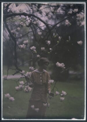 Edna St. Vincent by Arnold Genthe, Woman Beneath Magnolia Blossoms, magnolia blossoms, woman, garden, spring, flowers, botanical, soft focus, vintage photography, romantic, portrait, nature, bloom