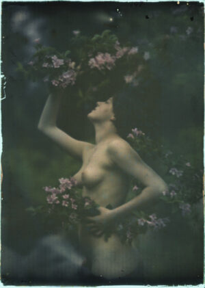 Woman with Lilac Blossoms by Arnold Genthe, lilacs, flowers, floral portrait, soft focus, nude, feminine, botanical, vintage photography, ethereal, romantic, garden, bloom