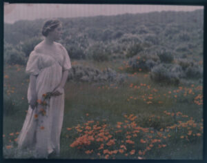 Helen MacGowan Cooke, Woman in California Poppy Field, california poppies, wildflowers, woman, meadow, flowers, botanical, soft focus, vintage photography, romantic, nature, spring, landscape