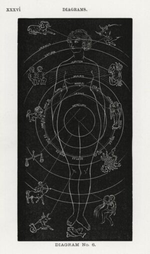 Astrological Body Diagram, astrology, zodiac, planetary diagram, human body, occult, mysticism, esoteric, celestial, diagram, vintage illustration, symbolism